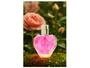 Imagem de Perfume Shakira Fucsia Feminino Eau de Parfum 30ml