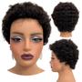 Imagem de Peruca cabelo 100% humano castanho escuro cacheada afro 4a