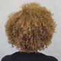 Imagem de Peruca Wig Curta Cacheada Corte Afro- Fibra Premium- JOANIE