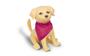Imagem de Pet Cachorro amarelo da Barbie Veterinária com acessórios 1250 Mattel Brinquedos
