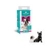 Pet Kit Tapete Higiênico Pad 30 Tapetes Un. 60 X 55 Cm - Confort Pads Imagem de Pet Kit Tapete Higiênico Pad 30 Tapetes Un. 60 X 55 Cm