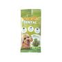 Imagem de Petisco Dental Menta Funny Para Cachorro 45G Brincalhão Cães Pet Feliz