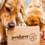 Imagem de Petisco Para Cães Snack Natural Orelha Bovina Carne 1 Unidade Jack E Pup