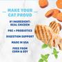 Imagem de Petiscos para Gato Crunchy Cat Treats Shameless Pets Catnip N Chill - Pacote com 3 (75g)