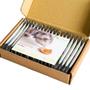 Imagem de Petiscos para Gato Way Basics Silvervine e Catnip 100% Puro - 2g x 20 Sachês