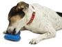 Imagem de PetSafe Chilly Penguin Treat Holding Dog Toy