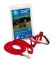 Imagem de PetSafe Come With Me Kitty Harness e Bungee Leash, Harness for Cats, Large, Red/Cranberry