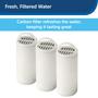 Imagem de PetSafe Drinkwell 360 Filtros de Carbono Premium, 3 Pack