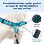 Imagem de PetSafe Easy Walk Deluxe Dog Harness, No Pull Dog Harness  Perfect for Leash & Harness Training  Impede animais de puxar e sufocar em caminhadas  Ocean Blue