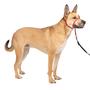 Imagem de PetSafe Gentle Leader Headcollar, No-Pull Dog Collar  Perfect for Leash & Harness Training  impede animais de puxar e engasgar em caminhadas  Médio, Vermelho