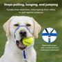 Imagem de PetSafe Gentle Leader Headcollar, No-Pull Dog Collar  Perfect for Leash & Harness Training  impede animais de puxar e engasgar em caminhadas  Pequeno, Azul Real