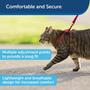 Imagem de PetSafe Vem Comigo Kitty Harness e Bungee Leash, Arreios para Gatos