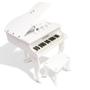 Imagem de Piano de Cauda Infantil 30 Teclas PIANO30 Turbo
