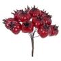 Imagem de Pick Natal Berry X10 Vermelho 10cm D&A