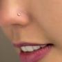 Imagem de Piercing de nariz nostril  ponto de luz em aço cirúrgico prata -1 unidade