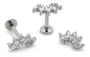 Imagem de Piercing Para Orelha Com Pedra Cristal Cluster Titânio