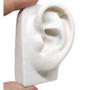 Imagem de Piercing Tragus Helix Cartilagem Borboleta Asas Cravejadas Folheada A Ouro