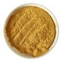 Imagem de Pigmento Metálico Perolado para Resinas Perolado Dourado 10g