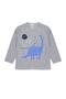 Imagem de Pijama Infantil Masculino Inverno Dino - Hey Kids Mescla