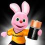 Imagem de Pilha Alcalina Grande D Com 2 Unidades MN-1300 - Duracell