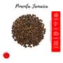 Imagem de Pimenta Jamaica Desidratada  Importada em Grãos Pote com Dosador Kit 3 70g 