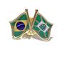 Imagem de Pin Da Bandeira Do Brasil X Goiânia