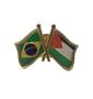 Imagem de Pin Da Bandeira Do Brasil X Palestina