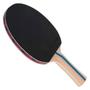 Imagem de Ping-Pong Raquete Tênis de Mesa Butterfly Addoy