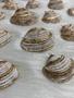Imagem de Pingente de concha natural com bordas douradas para montagem de acessórios artesanato diy bijuterias