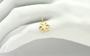 Imagem de Pingente Flor Delicado Ouro 18k P39