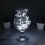 Imagem de Pisca LED Fio de Fada 100L 10m Pilha