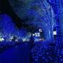 Imagem de Pisca pisca azul com fio transparente 100 LEDs 10 metros