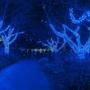Imagem de Pisca pisca azul com fio transparente 100 LEDs 10 metros