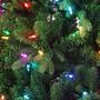 Imagem de Pisca Pisca Com Fio Transparente 100 Leds Coloridos 8M 127V