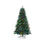 Imagem de Pisca Pisca Com Fio Transparente 100 Leds Coloridos 8M 127V