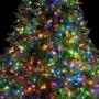 Imagem de Pisca Pisca Com Fio Transparente 100 Leds Coloridos 8M 127V