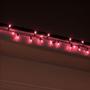 Imagem de Pisca Pisca Cordão 10M Duas Cores Sortido 100 Leds 127V 1 Un