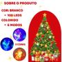 Imagem de Pisca Pisca De Natal 100 Leds Colorido 127V Árvore Decoração