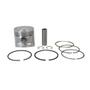 Imagem de Pistão C/ Anéis Metal Leve Honda CG 125 ML 1,00 P&A-1366