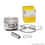 Imagem de Pistão C/ Anéis Metal Leve Honda CG 125 ML 1,00 P&A-1366