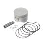 Imagem de Pistao Kit C/anel Rik Premium Xt 225  Std F016