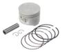 Imagem de Pistao kit com anel pino rik premium xt 660r  std
