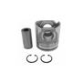Imagem de Pistao sem anel std motor - vertis/tector 170-280/24-280 2996845
