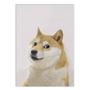 Imagem de Placa Decorativa A4 Doge Cachorro Shiba Inu Cripto