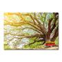 Imagem de Placa Decorativa - Natureza - 1090plmk