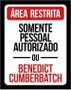 Imagem de Placa Decorativa - Rea Restrita Benedict Cumberbatch 27X35