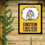 Imagem de Placa Decorativa Um Sábado Qualquer Einstein Meu Tutor 27X35