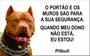 Imagem de Placa Identificação Cão Bravo Cuidado Pitbull branca