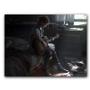 Imagem de Placa  MDF  20 cm x 30 cm - The Last of Us (BD12)