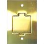 Imagem de Placa Piso Latao 4X2''Tomada Fone''Com 1 Tampa Unha Pp20/00